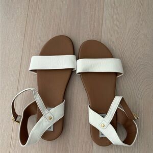 Steve Madden Women's Dina Sandal